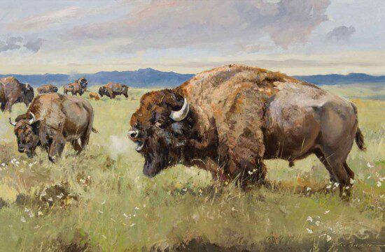 Range Rovers by Luke Frazier, DATED 2016