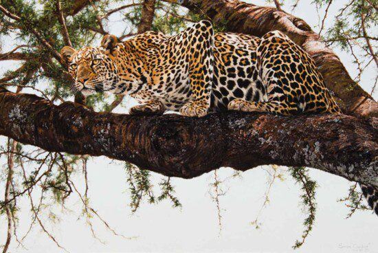 Simon Combes | Beware the Intruder (89) | MutualArt