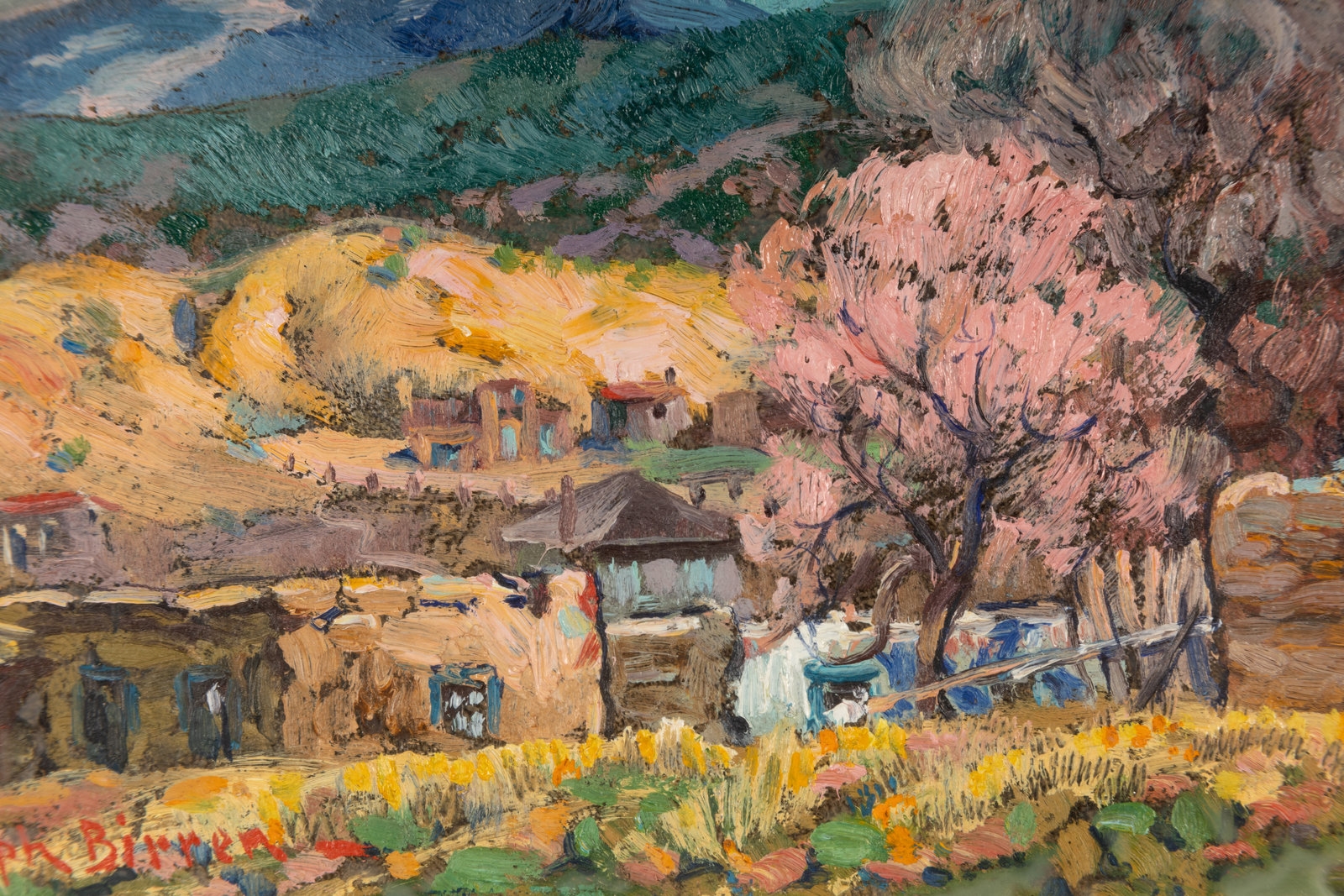 Joseph Pierre Birren | Mountain Village | MutualArt