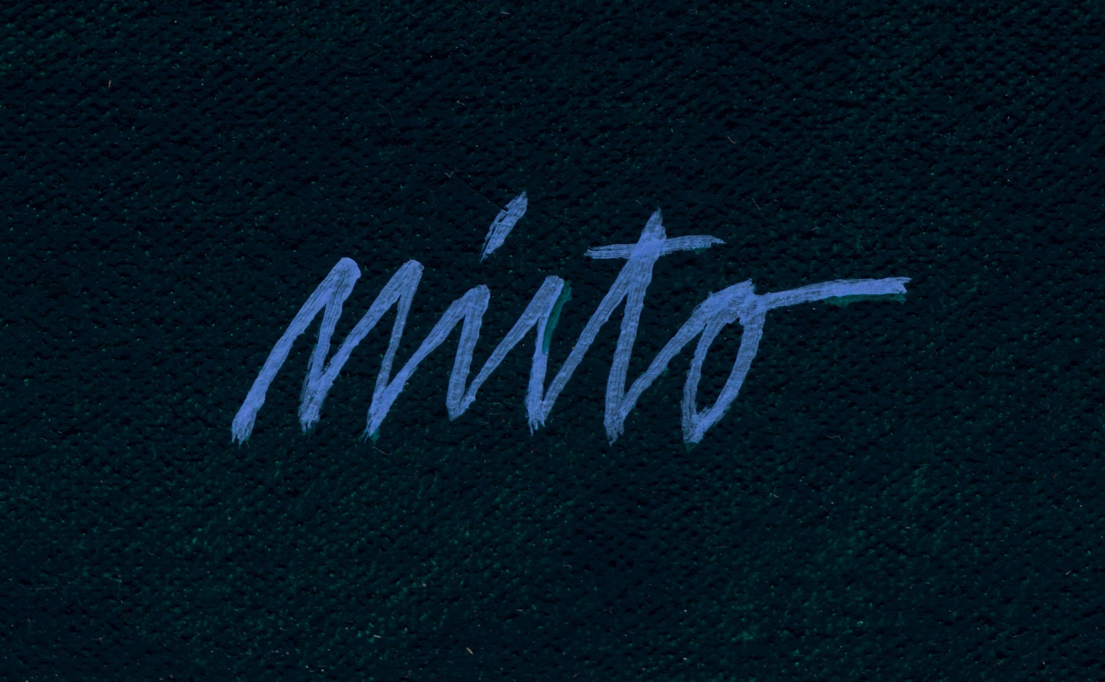 Artwork by John Nieto, Poised Coyote, Made of acrylic on canvas