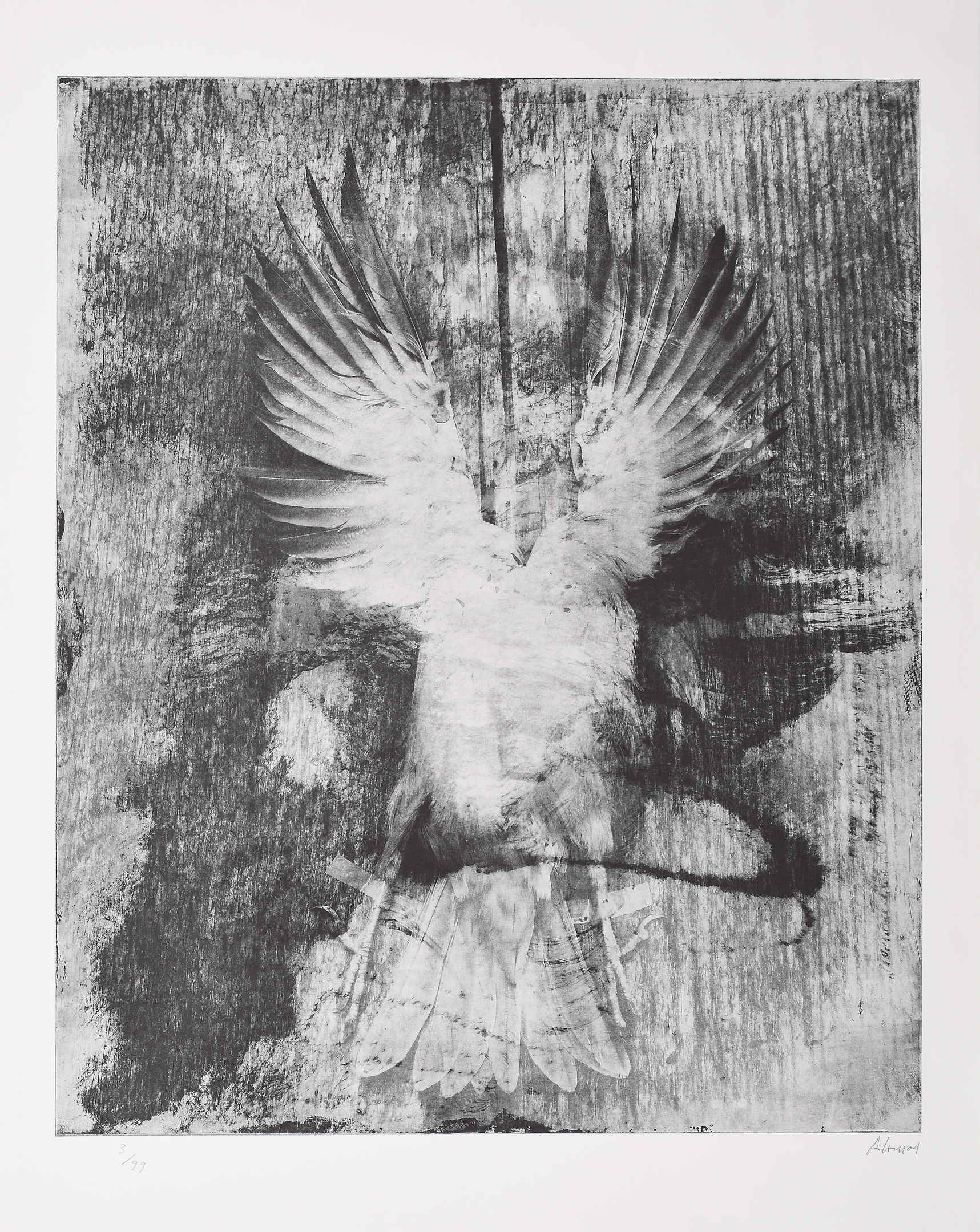 Artwork by Juan Carlos Alom, "Esta obra no tiene título es sólo el silencio de mi veneración"