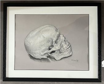 Skull - Peter Lloyd Lewis