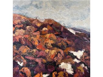 The Last of the Snow - Nick Glade-wright