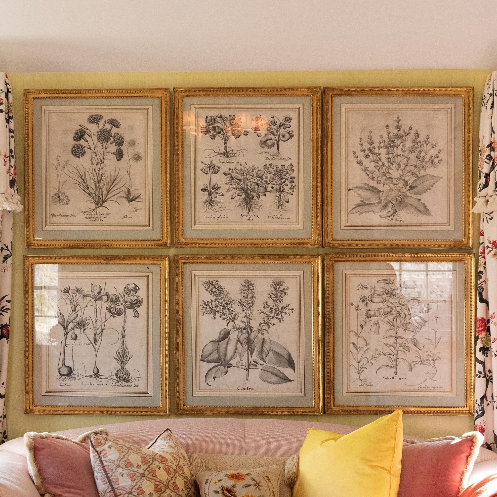 Artwork by Basilius Besler, Basilius Besler (1561-1629): Botanicals: Eight Plates, Made of engravings in black on laid paper