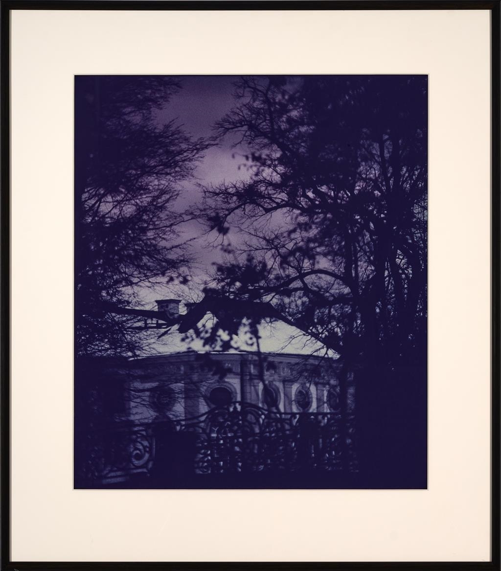 Bill Henson | Untitled (1983 - 1984) | MutualArt