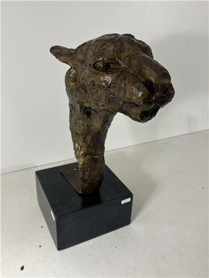 Tête de lionne by José Robert