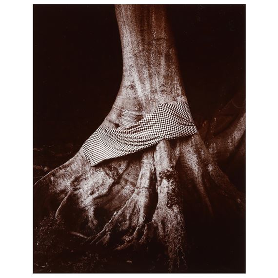 Linda Connor | Tree Decorated with Ceremonial Cloth, Bali, Indonesia ...