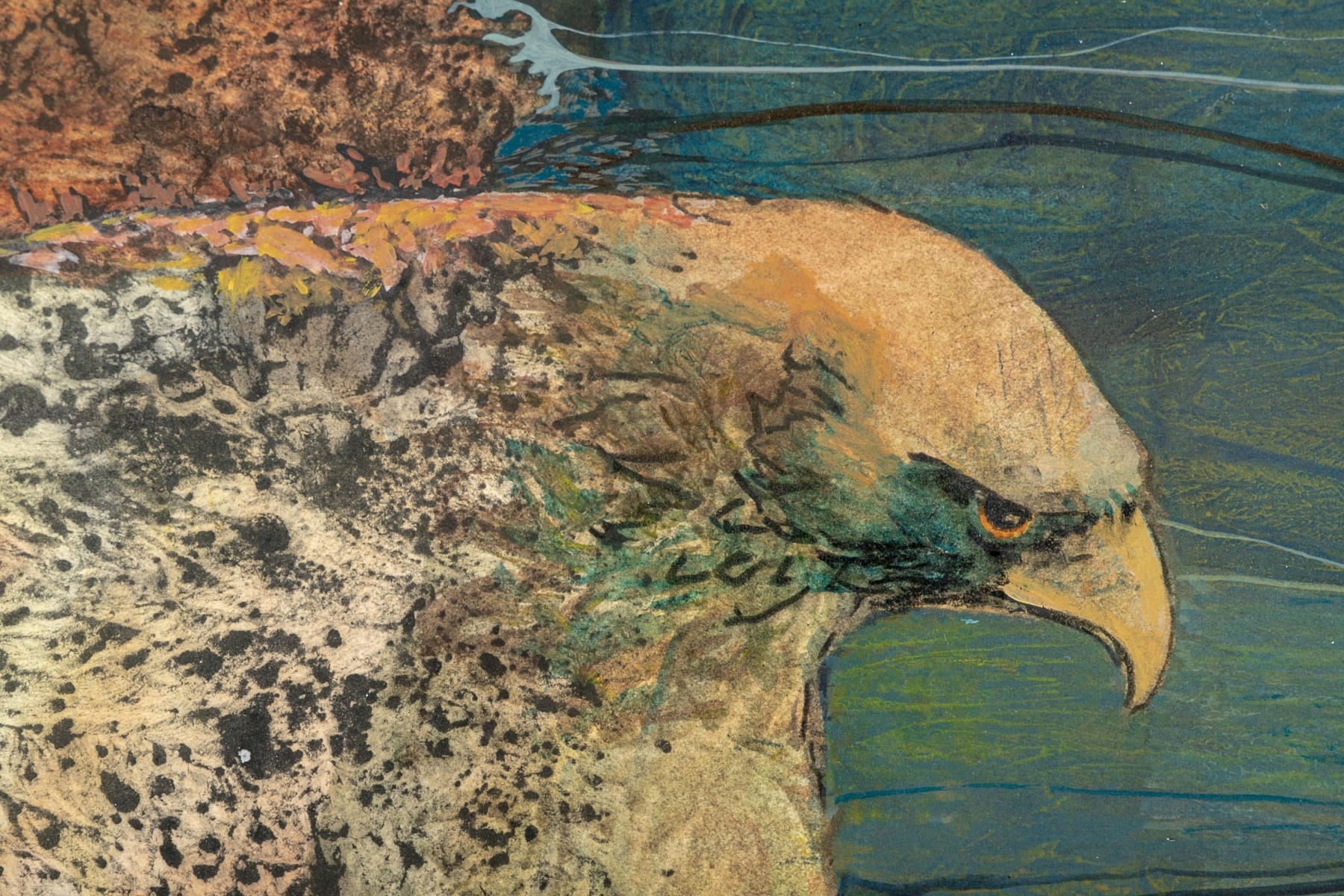 Artwork by Alisa Meyer, Hawk In Flight, Made of paint on paper