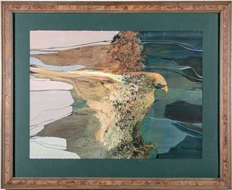 Hawk In Flight - Alisa Meyer