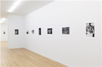 Michael Oppitz: Singers of Ten Thousand Lines - Galerie Buchholz, New York