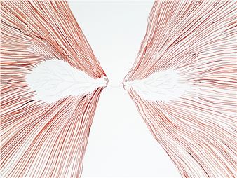 Rooted - Galerie Akinci