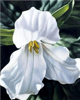 Trillium - Winifred Godfrey