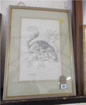 SQUIRREL - Phyllis Mary Bone