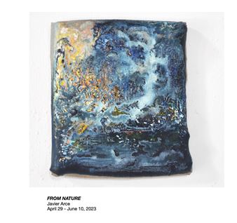 Javier Arce: From Nature - Cindy Rucker Gallery