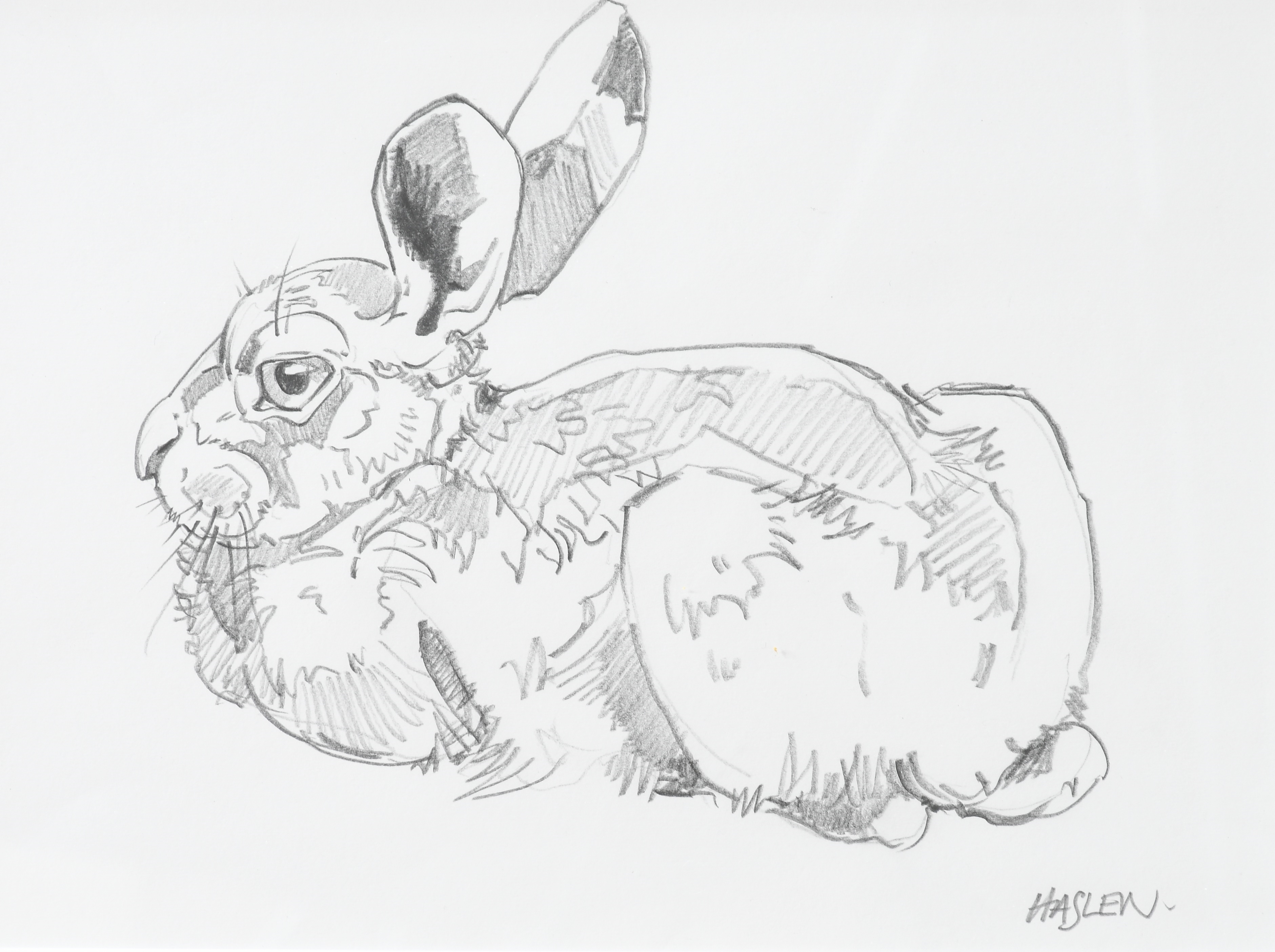 Artwork by Andrew Haslam, Leverett study, Made of pencil