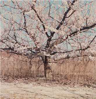 Brigitte Bauer, "Sans titre", 1994 - Brigitte Bauer