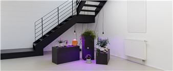 Gailan Ngan: Volumes - Galerie Christian Lethert