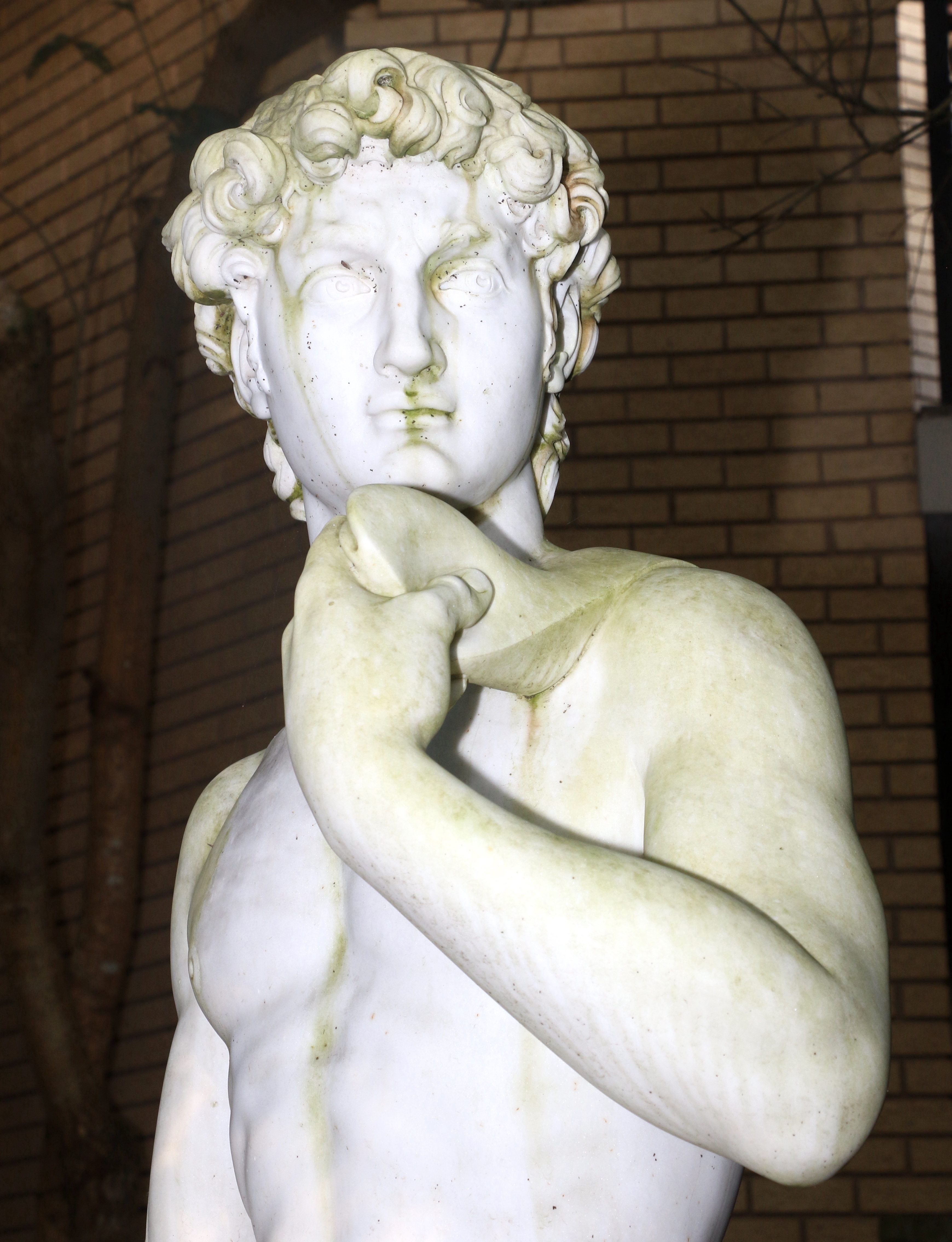 Michelangelo | DAVID | MutualArt