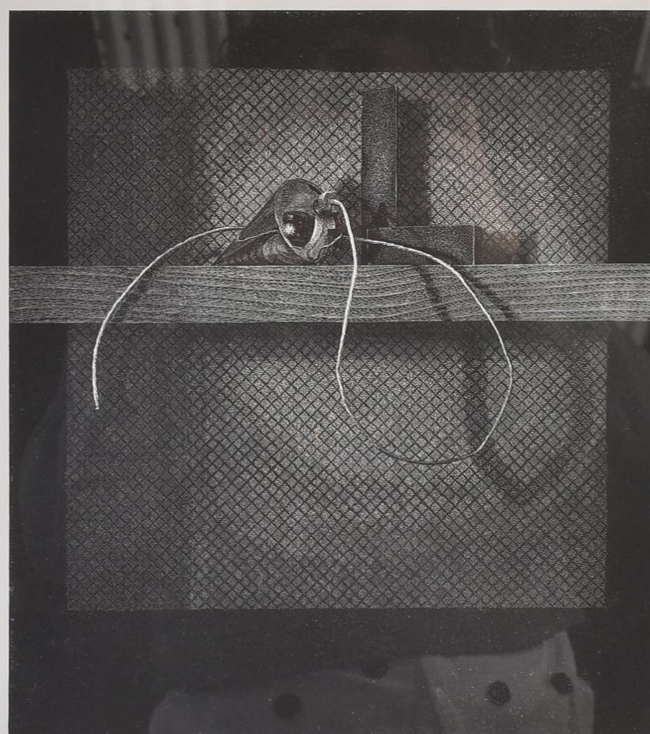 Artwork by Edwina N. Ellis, 'PLUM BOB ON SHELF' - 1993, Made of collagraph etching on paper