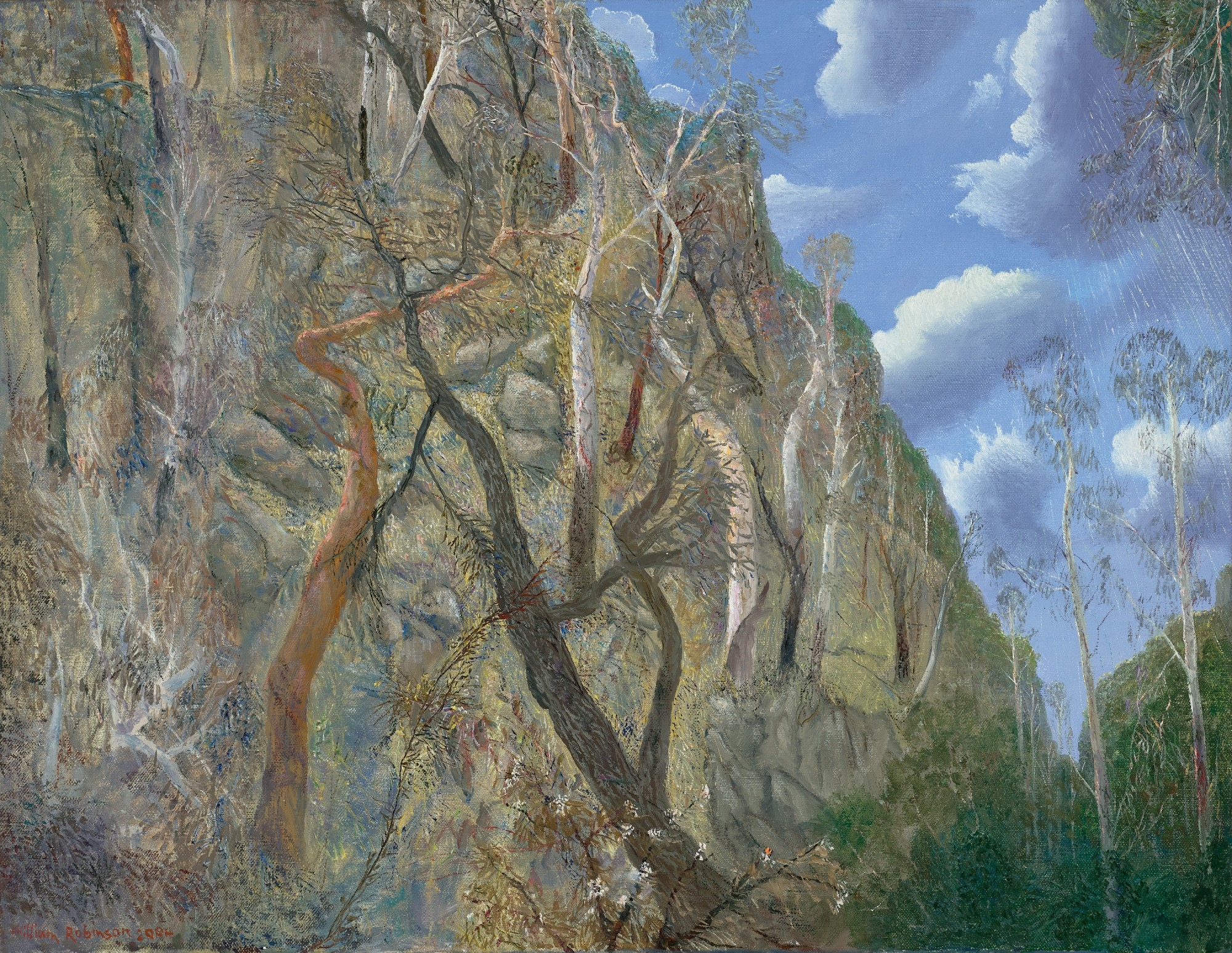 Artwork by William Robinson, SUN AND LIGHT RAIN NUMINBAH, Made of oil on linen