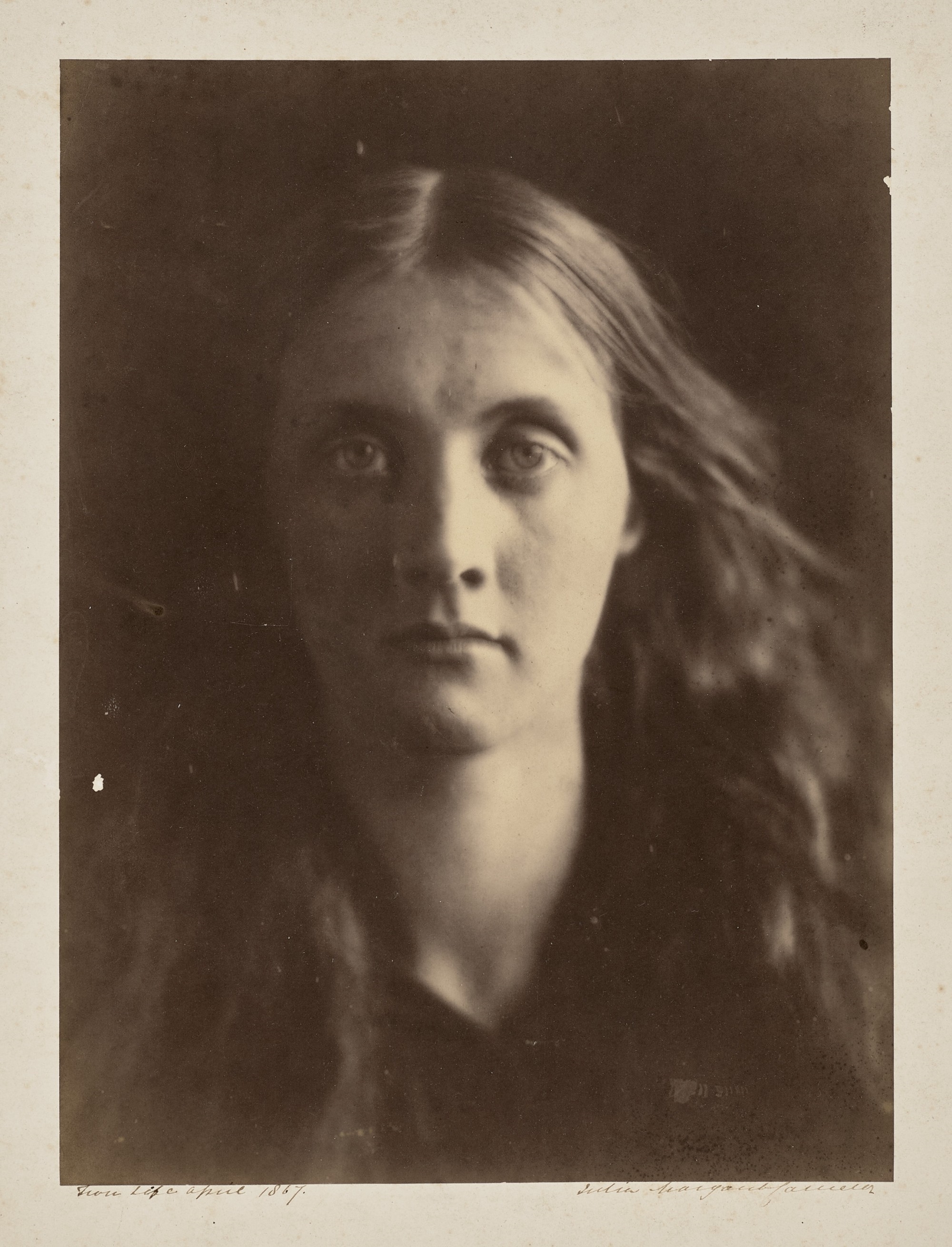 Artwork by Julia Margaret Cameron, JULIA JACKSON, Made of silver print