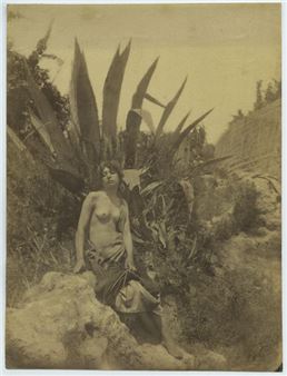 Baron Wilhelm van Gloeden | . Nude with Cactus (Circa 1885) | MutualArt
