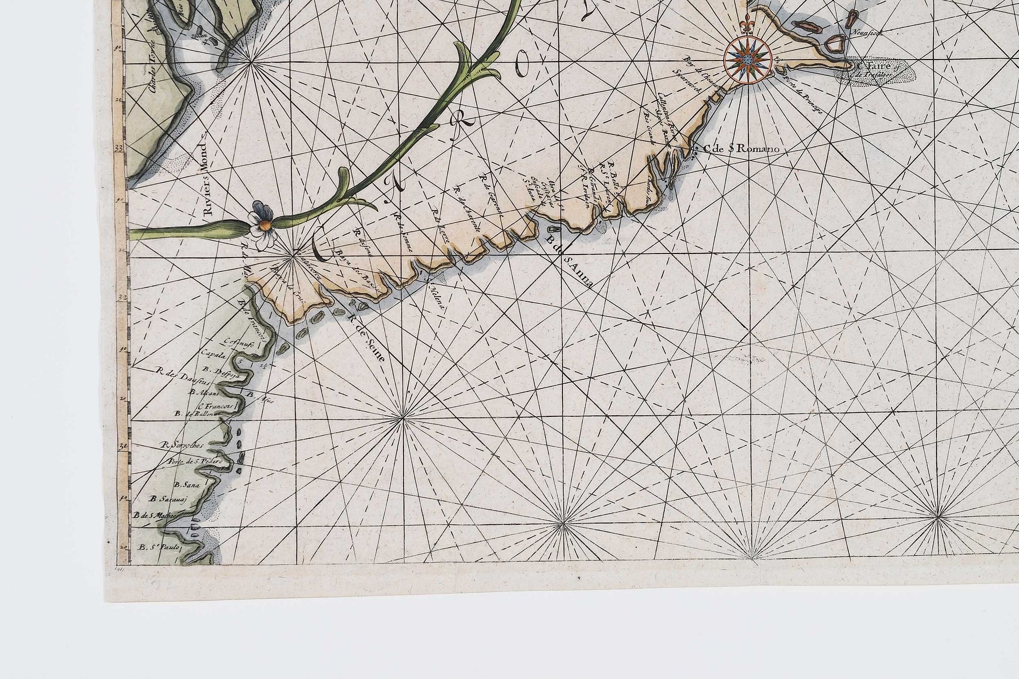 Artwork by Jacobus Robijn, Caerte vande Cust Carolina, Made of engraving on laid paper with hand colored