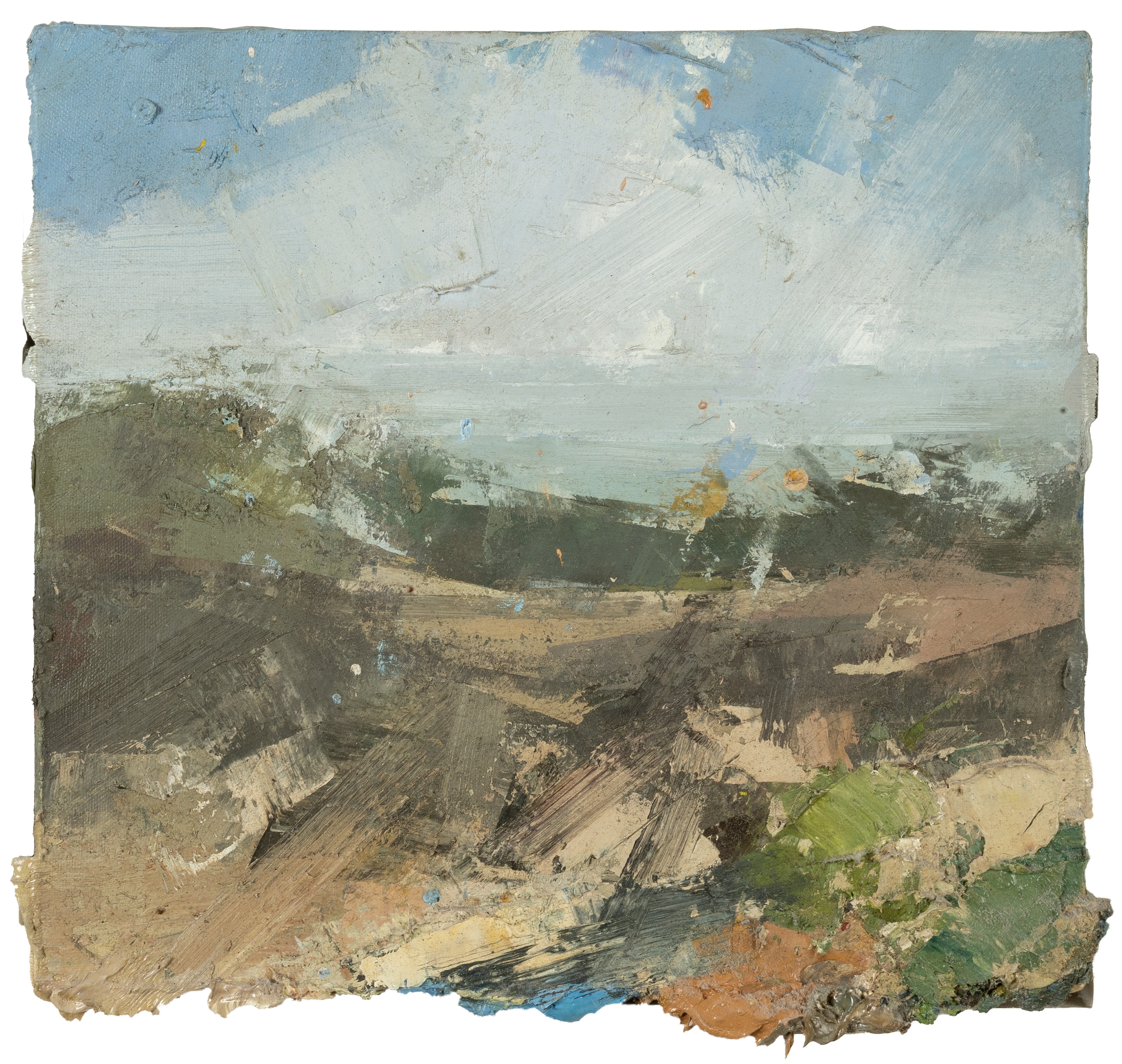 Artwork by Colin Bishop, Oaken Bog, Barnstable Heath, Devon, 2009, Made of oil on canvas