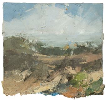 Oaken Bog, Barnstable Heath, Devon, 2009 - Colin Bishop