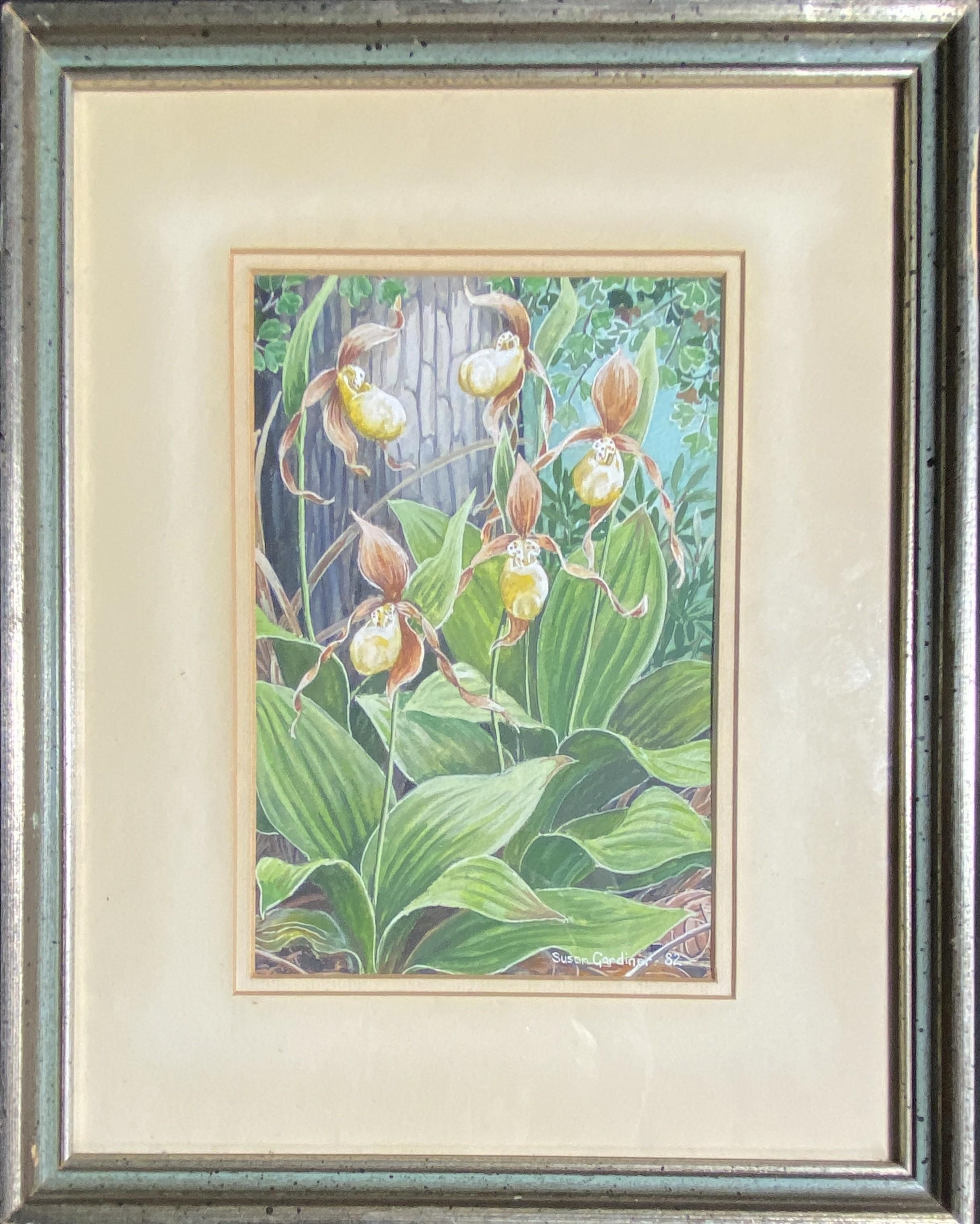 Artwork by Susan Gardner, Yellow Lady's Slipper - Cypripedium Calceolus 1982, Made of Watercolour on paper