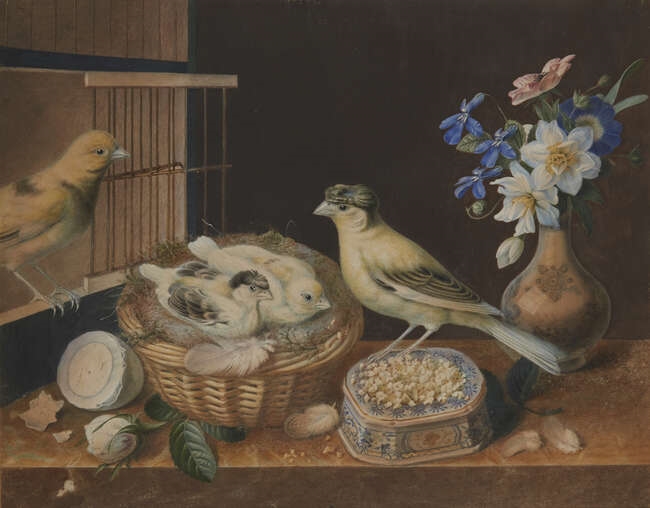 Augusta Innes Withers | Augusta Innes Withers | MutualArt