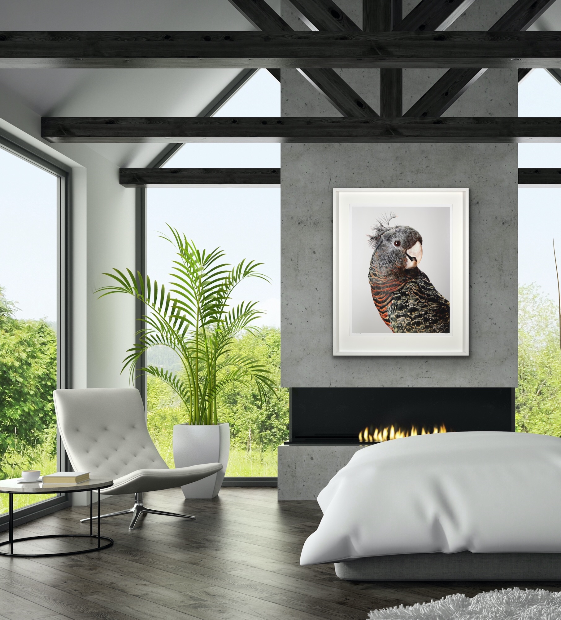 Artwork by Leila Jeffreys, 'Mrs Skyring' Gang-Gang Cockatoo, Made of photograph on archival fibre based cotton rag