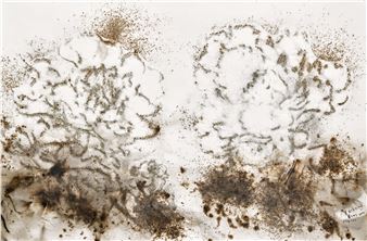 Yellow and White Peonies - Cai Guo Qiang