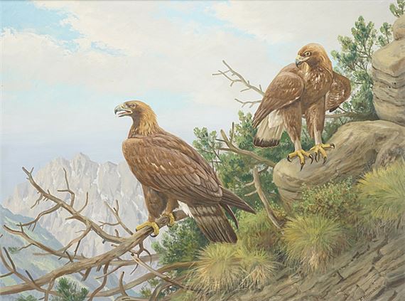 Zwei Adler im Hochgebirge by Friedrich Reimann