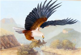 FISH EAGLE - Flip Taljaard