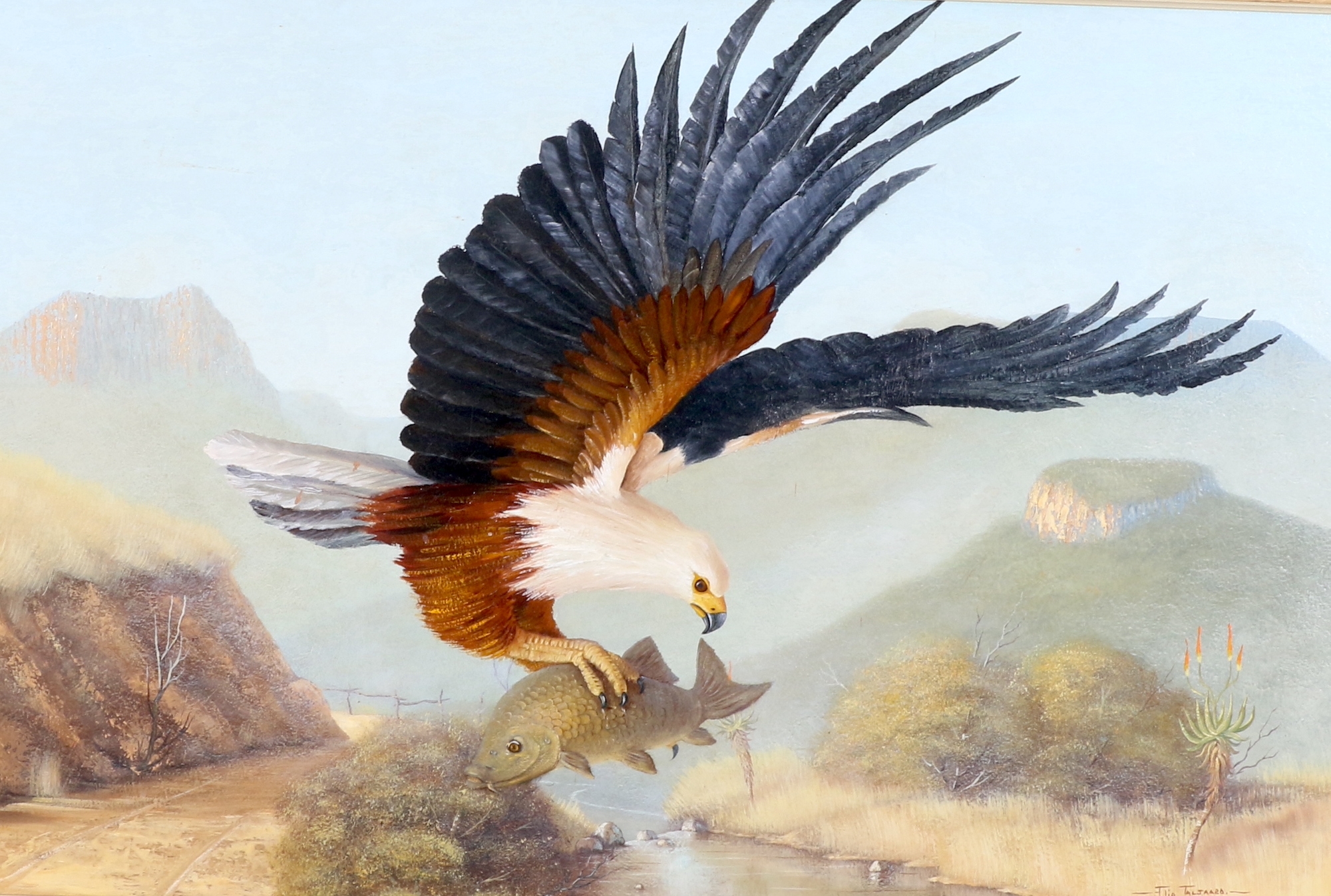 Artwork by Flip Taljaard, FISH EAGLE, Made of oil on board