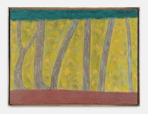 The Exhibitions Not to Be Missed During Art Brussels