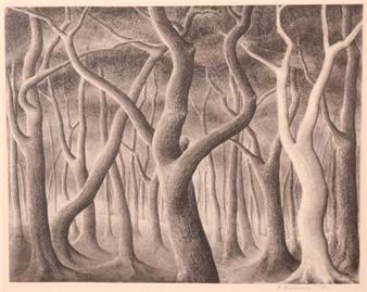 Bomen - Nola Hatterman