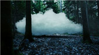 Laurent Grasso: Anima - Perrotin, Seoul (Dosan Park)