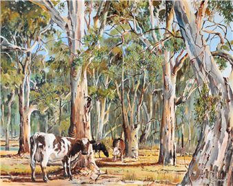 Cattle Grazing amongst the Gums - Garry Duncan