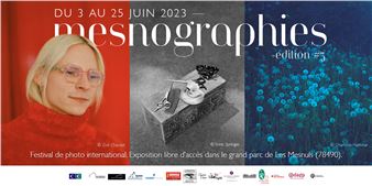 Mesnographies - Les Mesnographies