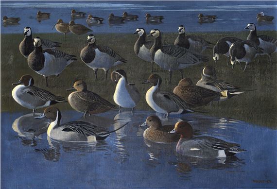 Peter Markham Scott | Wildfowl (1974) | MutualArt
