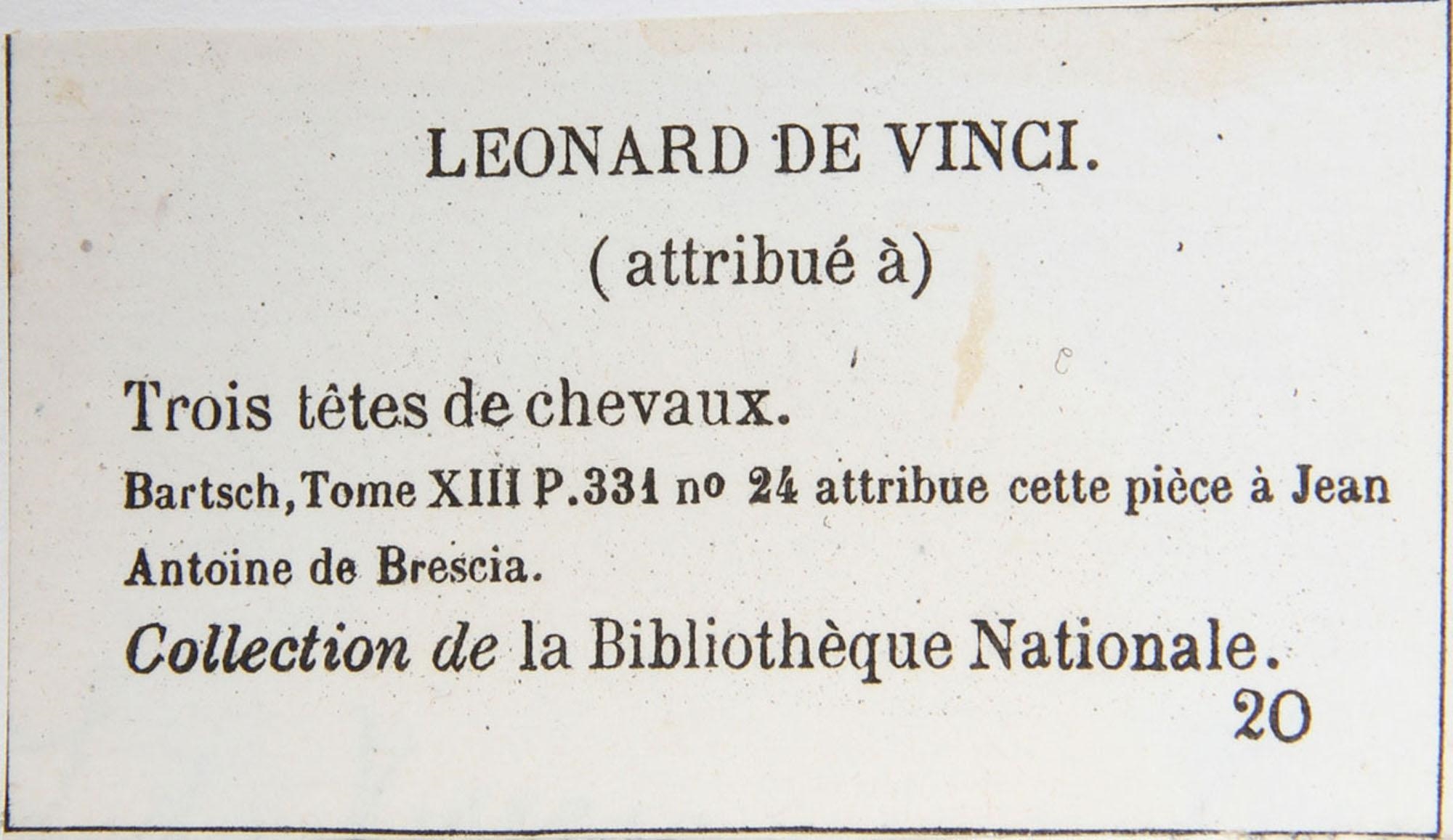 Symbole Du Logo équestre Ou Stallion Du Cheval Vert Foncé Illustration