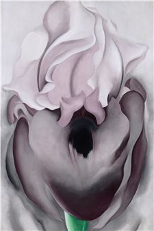 Black Iris VI - Georgia O'Keeffe