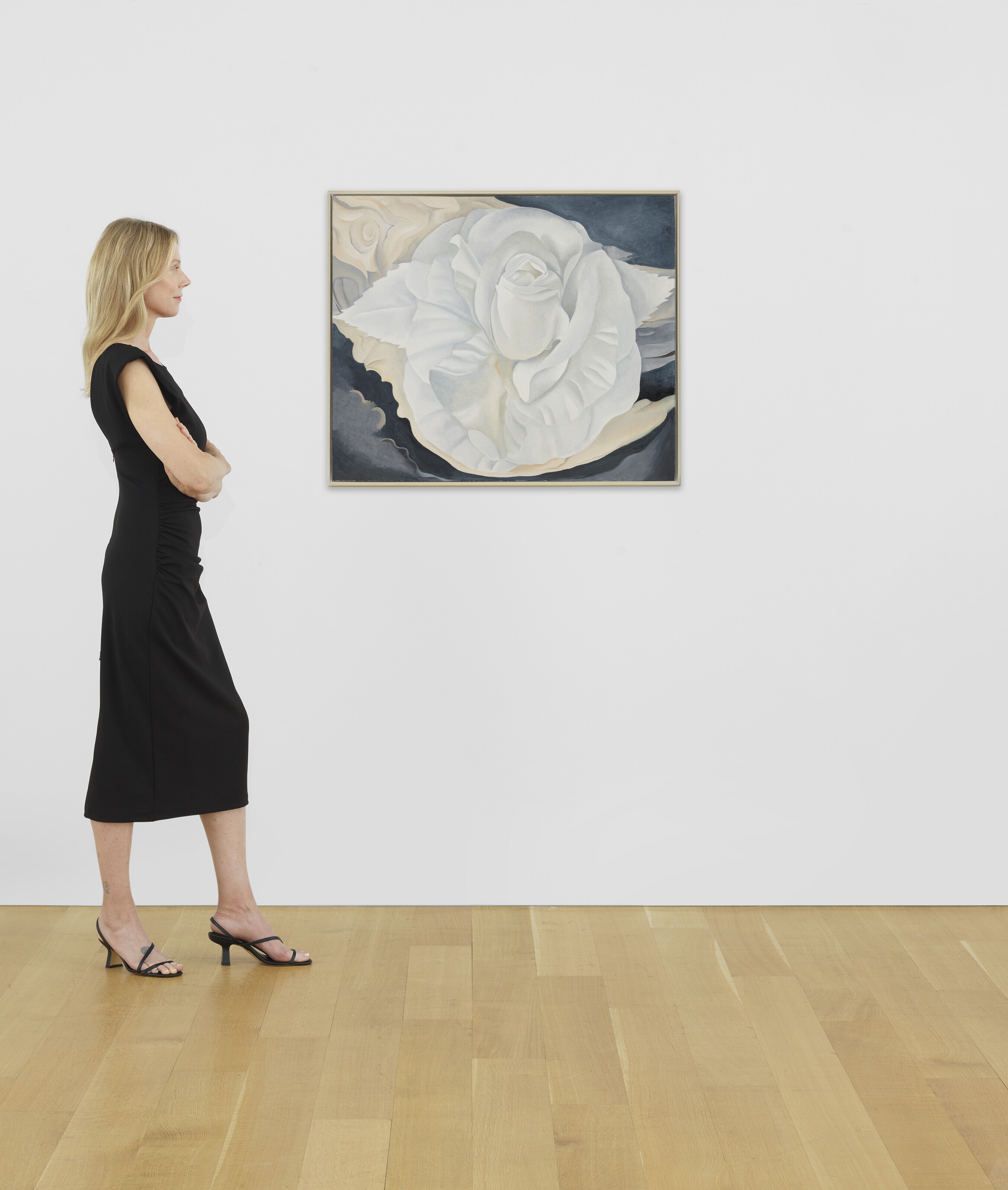 Artwork by Georgia O'Keeffe, White Calico Rose, Made of oil on canvas