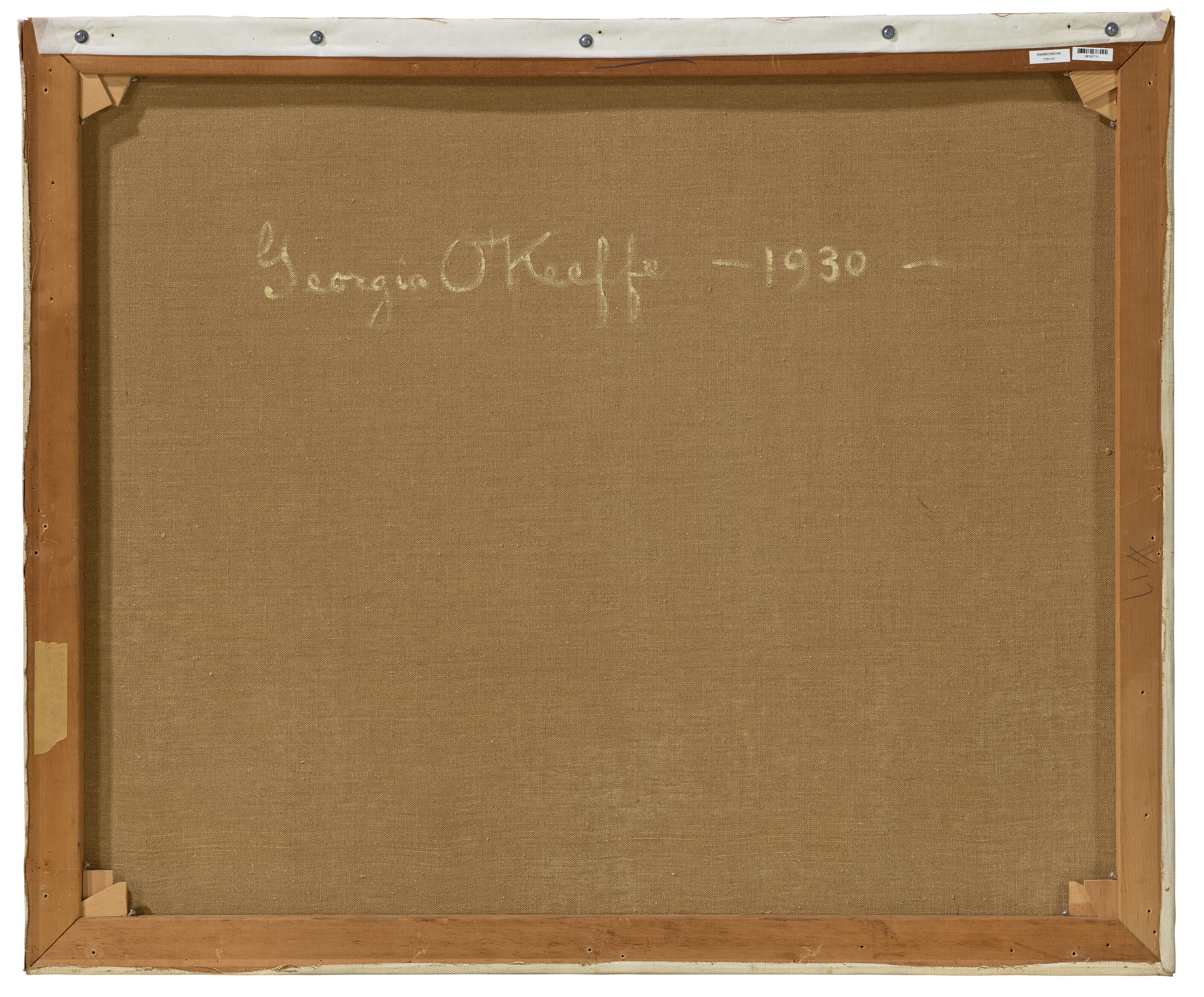 Artwork by Georgia O'Keeffe, White Calico Rose, Made of oil on canvas