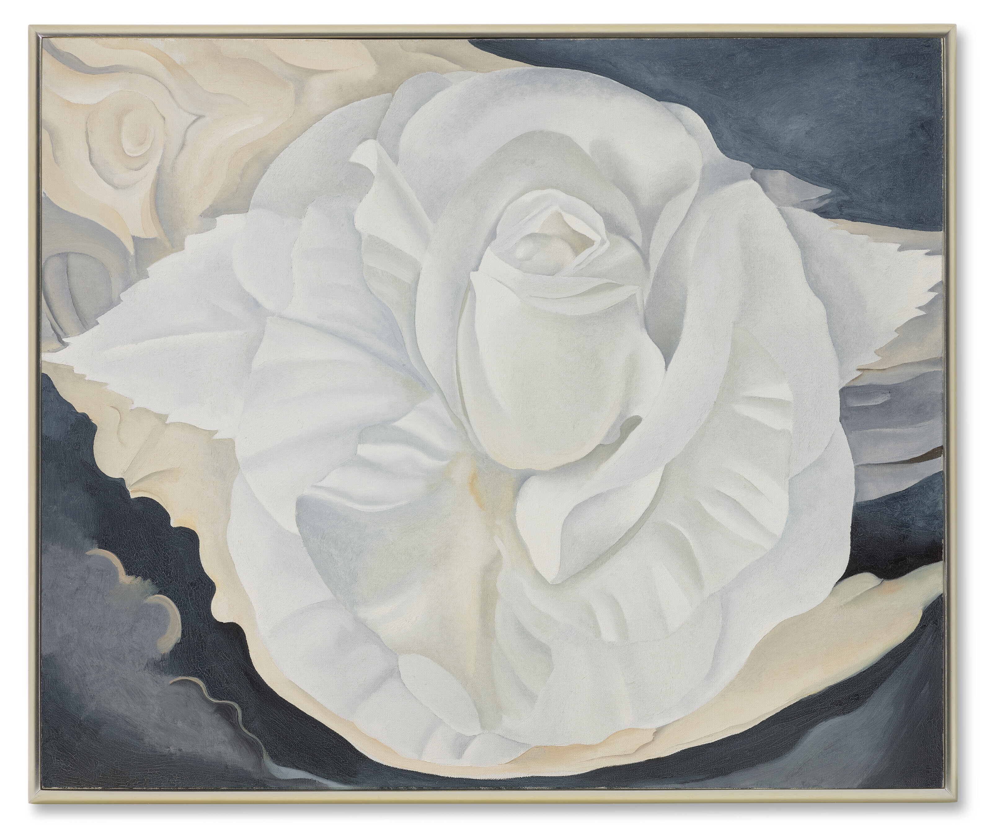 Artwork by Georgia O'Keeffe, White Calico Rose, Made of oil on canvas