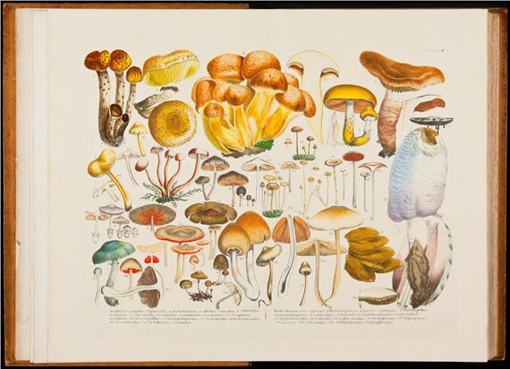 Realistic Science | Exhibitions | MutualArt