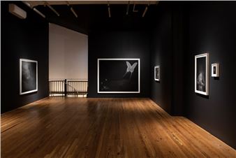 Alina Perez & Arel Lisette Peckler: Not Dark Yet - Deli Gallery, New York