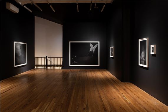 Alina Perez & Arel Lisette Peckler: Not Dark Yet - Deli Gallery, New York